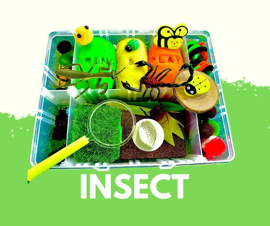 Insect Box